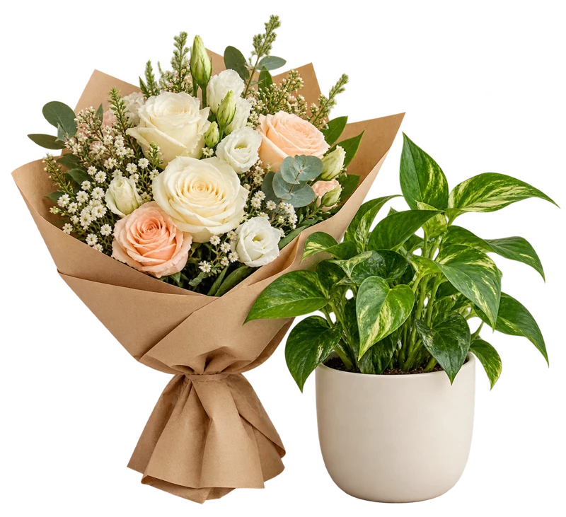 A bouquet of cream and peach flowers beside a leafy potted plant